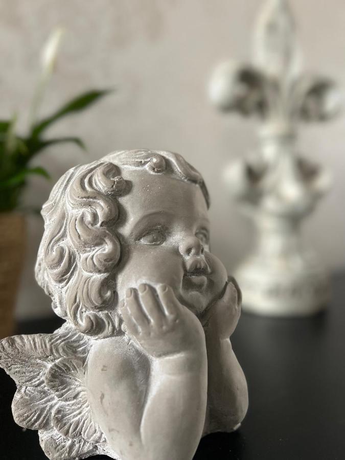 Domaine Des Anges Bed & Breakfast Avesnes-sur-Helpe Luaran gambar